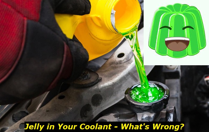 jelly like substance in coolant